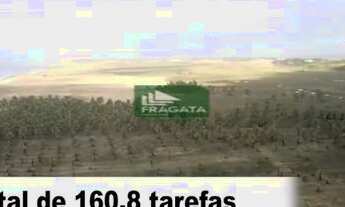 Imagem 3: ÁREA BARRA DOS COQUEIROS JATOBÁ