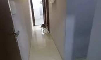 Imagem 3: Casa com 3 dormitórios para alugar em Betim