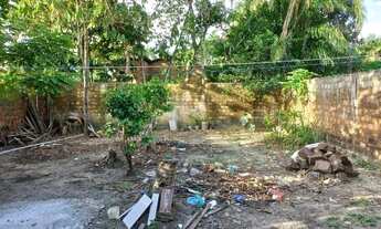 Imagem 7: Benfica casa excelente oportunidade