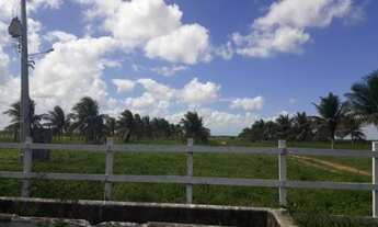 Imagem 6: Fazenda para pessoa de bom gosto 480 hectares encantadora