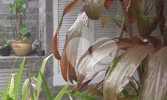 Imagem 2: Apartamento á venda com 3 quartos garagem no valor R$580.000,00 - Tijuca - RJ