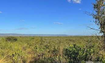 Imagem 7: Fazenda à venda, 508Ha em- Miracema do Tocantins-TO