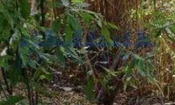 Imagem 3: Freguesia (Jacarepaguá