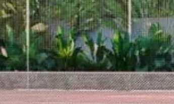 Imagem 4: Sunset Boulevard 2