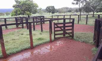 Imagem 7: Fazenda 2.700 hect em rosário do oeste MT. 1.500 em.pastagem 60 milhões