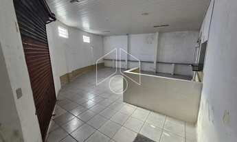 Imagem 3: Comercial GalpãoBarracão em Marília