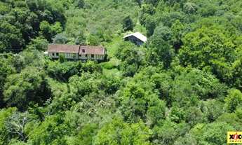 Imagem 4: Sítio / Chácara para Venda em Nova Petrópolis, Linha Olinda, 2 dormitórios, 1 banheiro