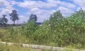 Imagem 2: Lote 26 setembro