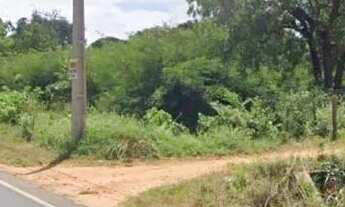 Imagem 3: Oportunidade! Terreno 560 m² perto do Asfalto - Brejo do Amparo