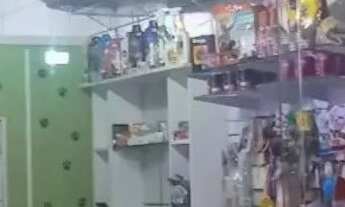 Imagem: Passo Pet Shop