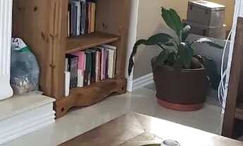 Imagem 4: Casa para aluguel e venda tem 360 metros quadrados com 5 quartos.