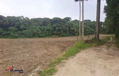 Imagem 5: Chácara á venda no bairro Lagoa dos Ferreiras em Mandirituba - PR