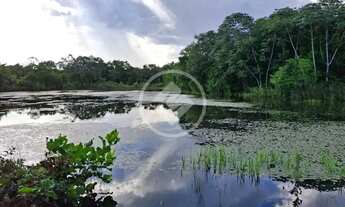 Imagem 4: FAZENDA NO DISTRITO DE CANGAS EM POCONÉ 50 hectares 01 casa 10 represa 30 hectares de past