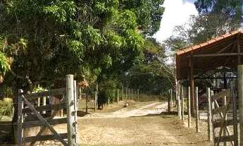 Imagem 7: Fazendinha 13.000m² com piscina, lagoa de peixes, nascente, campo de futebol e muito mais