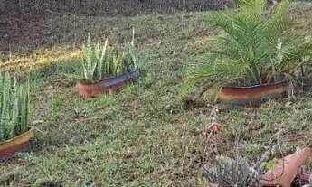 Imagem 6: Chácara de 7000m2 na Região do Daia só R$ 500mil