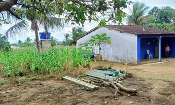 Imagem 5: Sítio em Taquarana AL