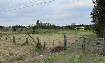 Imagem 7: Excelente Propriedade c/ 100.620,11 m² de Área em Triunfo/RS REF: G5025