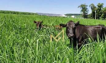 Imagem 4: Sítio - 54.450 m² por R$ 1.900.000 - Rio Do Salto - Cascavel/PR