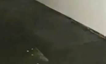 Imagem 5: Kitnet para Locação SIA - QD 05, Brasília