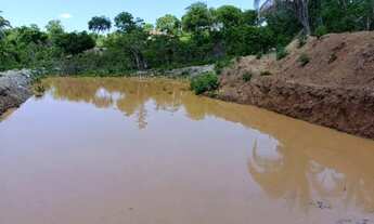 Imagem 3: Sítio 8 km de livramento 21hc