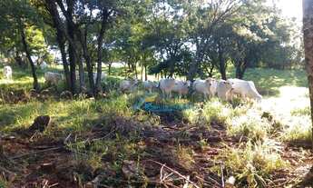 Imagem 7: Sítio com 2 dormitórios à venda, 4 Alqueires por R$ 1.500.000 - Zona Rural - Santa Lucia/P