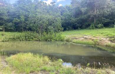 Imagem 2: Fazenda a venda em Pontalina Goiás!!!