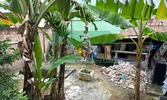 Imagem 4: Casa de rua : / Residencial / Japiim