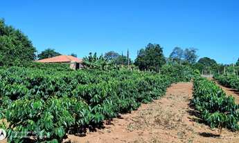 Imagem 5: Chácara espetacular para venda, escriturada e registrada