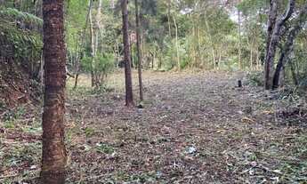 Imagem: Terreno 1600 m2 em Mury - Nova Friburgo