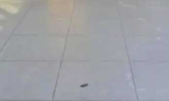 Imagem: Casa á venda com 3 quartos sendo 1 suíte