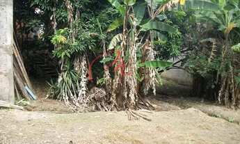 Imagem 2: Terreno Residencial para venda e locação, Jardim Jussara, São Paulo - TE0093