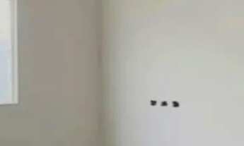 Imagem 7: Casa á venda com 3 quartos sendo 1 suíte no Caiçara em Campo Grande - MS