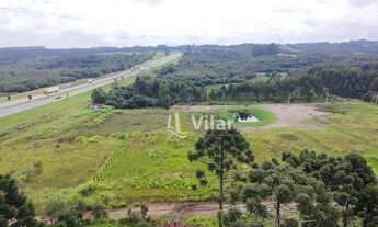 Imagem 5: Terreno à venda, 1500 m² por R$ 349.900 - Chácara Águas Claras - Piraquara/PR