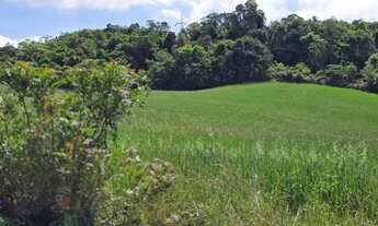 Imagem 3: Imóvel para venda com 100000 metros quadrados em São Caetano - Balsa Nova - PR
