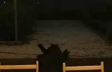 Imagem 6: CA4496 Exclusividade, Luxo e Natureza em Harmonia Absoluta!