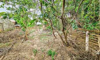 Imagem 7: Terreno - Parque da Represa - Paulínia