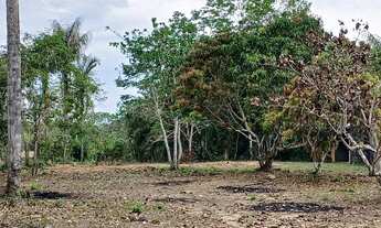 Imagem 6: Chacara no ramal do janauari