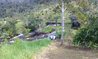 Imagem 3: Fazenda de 26 hectares de cacau em una sul da bahia