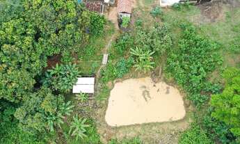 Imagem 6: Propriedade de 15 alqueires