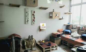 Imagem 2: Apartamento à venda, Bela Vista, 72m², 2 dormitórios, sem vaga!