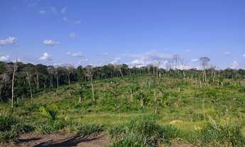 Imagem: Terra no Km 47 entre Manoel Urbano e Feijó
