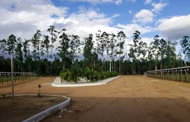 Imagem 3: Lotes rurais de 1000m2 a 7km de Vitória da Conquista - Bahia