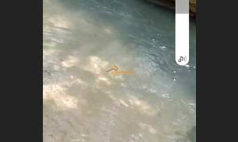 Imagem 5: Bairro: Centro Valor: R$ 380.000,00