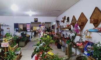 Imagem 2: Loja para alugar, 400 m² por R$ 3.000/mês - Zona 04 - Maringá/PR