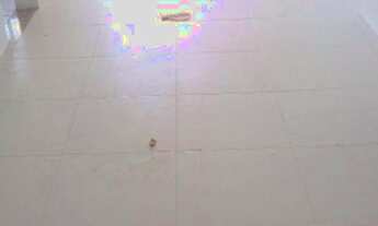 Imagem: Apartamento à venda, 63 m² por R$ 250.000,00