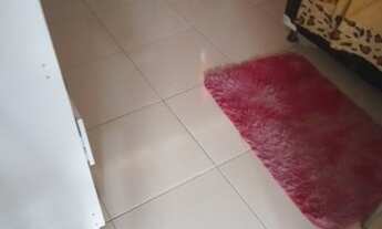 Imagem 5: Vendo casa em Pinheiro MA