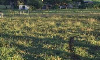 Imagem 5: Sítio 8.74 alqueire sebastianopolis do sul