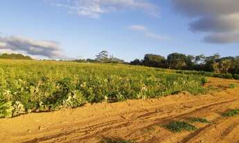 Imagem 2: Terrenos com 1000 metros quadrados ideal pra vc