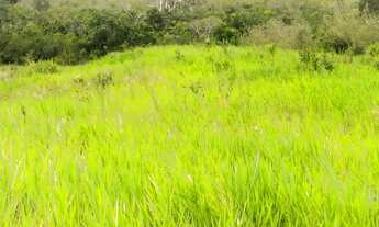 Imagem 3: VENDO SÍTIO (estância-se) 300 MIL