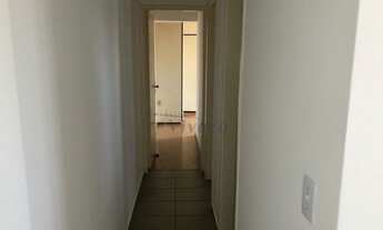 Imagem 4: ILHA DE ELBA - IPIRANGA